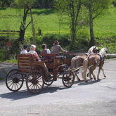 Carriage rides